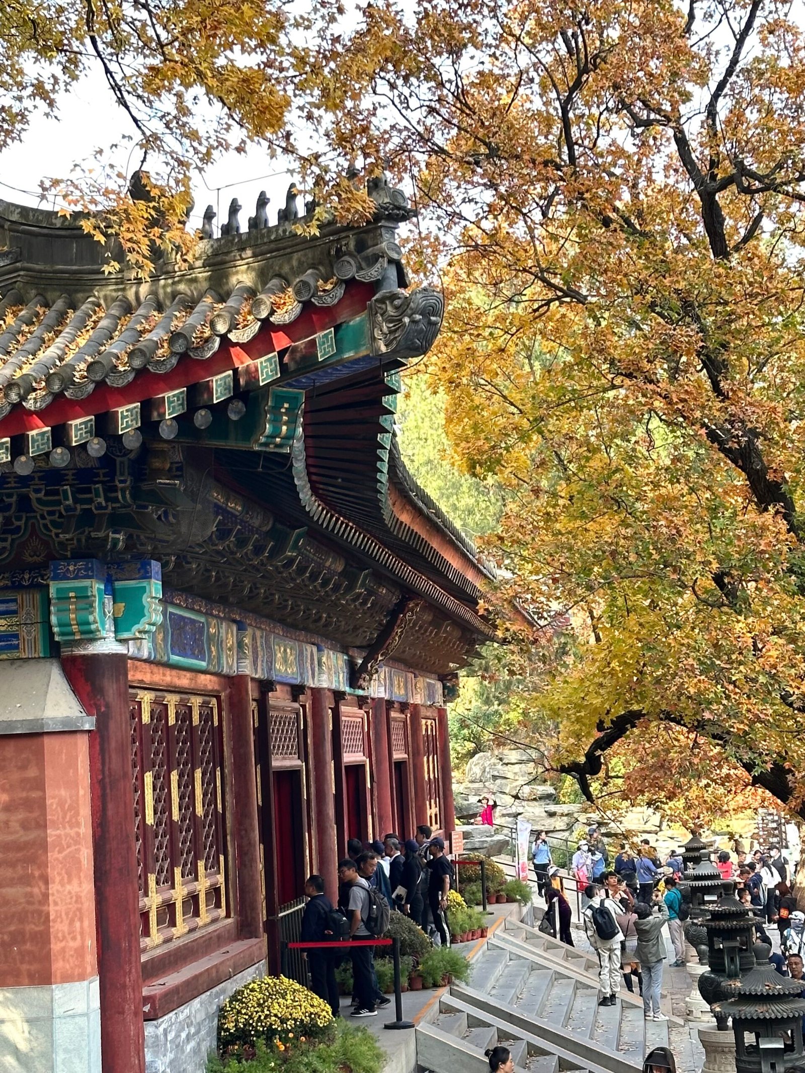 香山公园:北京香山秋天最美景点,首都最佳赏枫胜地