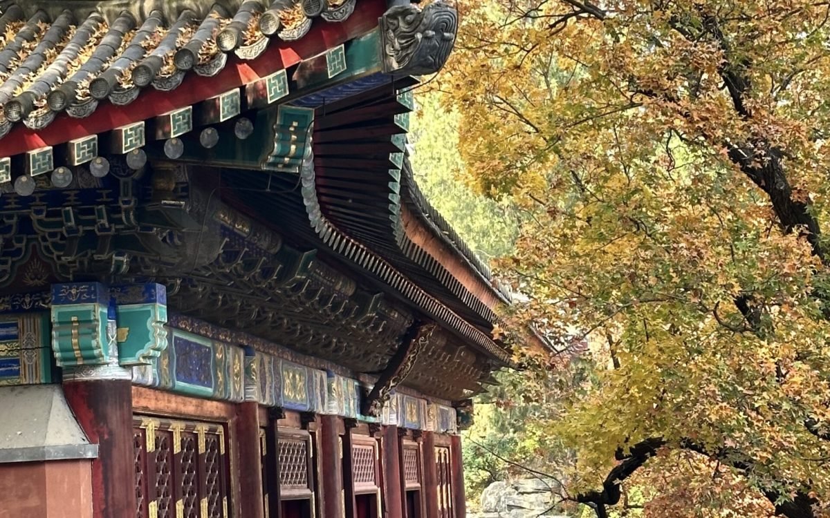 香山公园：北京香山秋天最美景点，首都最佳赏枫胜地